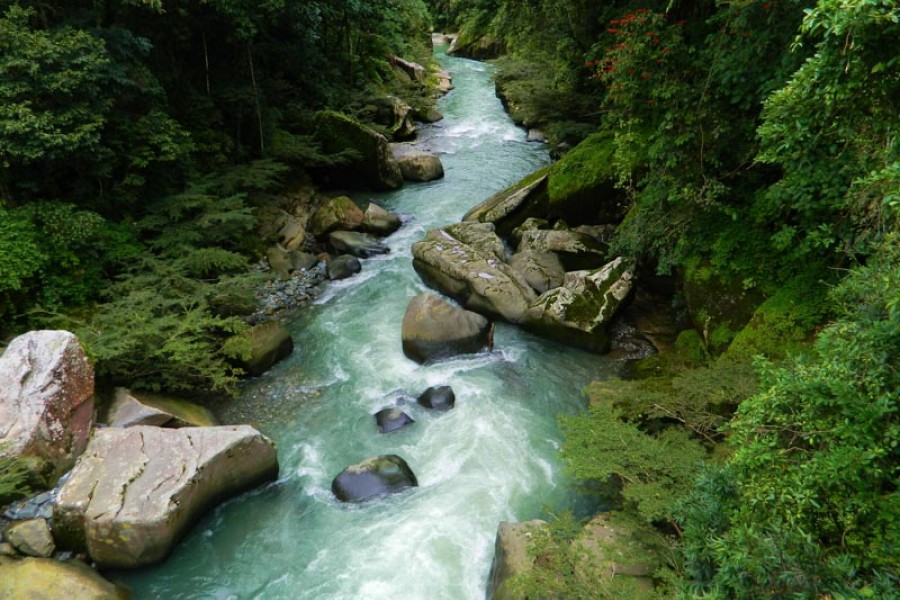 Jineth marcela  moya angulo el camino del agua